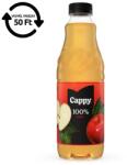 Cappy Gyümölcslé CAPPY Alma 100-os 1L DRS 1121917 (1121917)