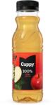 Cappy alma 0, 33l DRS PET egyutas visszaváltási díjas palackos gyümölcslé 983327 (983327)