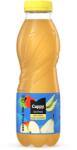 Cappy Üdítőital szénsavmentes CAPPY Ice Fruit Alma-Körte 12-os 0, 5L DRS 249944 (249944)