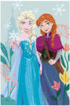 Exity Disney Jégvarázs polár takaró 100*150cm (FRO1433-B)