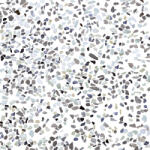 Zalakerámia Padlólap ZGD 61260 TERRAZZO (ZGD 61260 TERRAZZO)