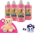 Coccolino Honeysuckle&Sandalwood öblítőkoncentrátum 4x1275 ml (204 mosás)