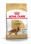 Royal Canin Cocker Adult 3kg-Cocker Spániel felnőtt kutya száraz táp