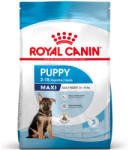 Royal Canin Maxi Puppy 15kg-nagytestű kölyök kutya száraz táp