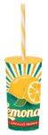SOLMAZER IRIS Lemonade mintás pohár szívószállal 470ml 161922-027P (161922-027P) - bestbyte