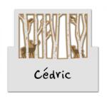 Chaks Névtábla - Erdő 8 x 8 cm 6 db