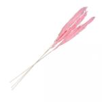 Chaks Pampafű - Rózsaszín 100 - 135 cm 3 db