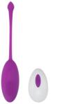 Passion Labs Egg Vibrator Kate, Purple (17.5cm)