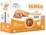 Iams Cat Delights alutasak Kitten & Junior csirke falatkák ízletes szószban, Multipack 12x85g - webshop