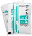 BiogenicVet Arthro Collagen 30x3 g