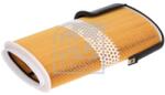 Febi Bilstein Filtru aer FEBI BILSTEIN 107396 (107396)