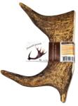  ABC-ZOO Coarne de cerb lopătar pentru câini XL
