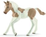 Schleich Pet - rasa Paint Paint (OLP102613886) Figurina