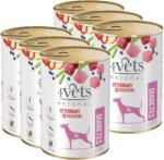 4Vets NATURAL 4Vets Kutya cukorbetegség 6x400g