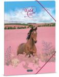 Ars Una Wild And Free A/4 Gumis Dosszié (50213597) - papirtar