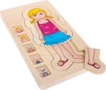 Legler Kisláb Fa anatómiai puzzle