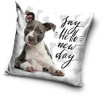  Kutyás párnahuzat 40x40 cm (DOG195003)