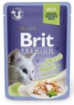 Brit Premium Cat Fillets in Jelly pastrav in aspic 24x85 g hrana pisica