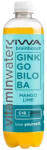VIWA brainboost ginkgo biloba-zöldtea vitaminvíz 600 ml - delfinbuvar