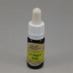 Bach virágeszencia magyal 10 ml - delfinbuvar
