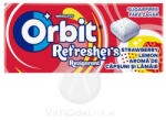 Orbit Refresh. Handypack Strawb. Lem. 8db - delfinbuvar