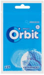 Orbit Peppermint Bag 21rdazsé 29g - delfinbuvar