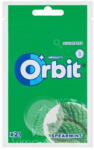 Orbit Spearmint Bag 21rdazsé 29g - delfinbuvar