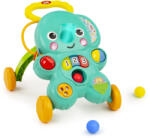 Bright Starts Centru de activitati 2 in 1 Stroll & Roll Bright Starts (12892)