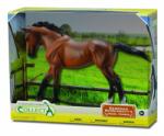CollectA Figurina in cutie Iapa Thoroughbred Bay pictata manual WB Collecta (COL89578WB) - kidostore Figurina