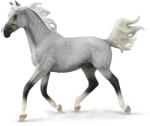 CollectA Figurina pictata manual armasar Half Arabian Dappled Gri 25 cm (COL88959Deluxe) Figurina