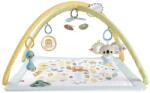 Mattel Salteluta de activitati Fisher-Price Simply Senses (MTHRB15)