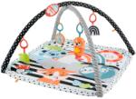 Mattel Saltea muzicala 3 in 1 cu centru de activitati Fisher-Price (MTHBP41)
