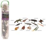 CollectA Cutie cu 12 minifigurine Animale marine preistorice (COLA1104C) - kidostore Figurina