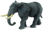 CollectA Figurina Elefant african - Collecta (COL88025XL) - kidostore Figurina