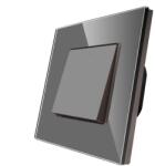 Luxion Intrerupator Simplu Mecanic LUXION cu Rama din Sticla, Gri, LX-MP001GF-GY (LX-MP001GF-GY)