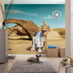 Komar Star Wars Lost Droids fotótapéta