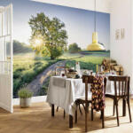 Komar Meadow Trail fotótapéta