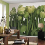 Komar Tulips fotótapéta