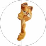 Pictu Hap Ehető papír Garfield a fal mögött 19, 5 cm - Pictu Hap (pic9001647_kruh)