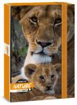 Ars Una Máté Bence-Lion A5 50864331