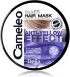 Delia Cosmetics Cameleo Silver Masca de par neutralizeaza tonurile de galben 200 ml