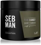 Sebastian Professional SEB MAN The Dandy alifie pentru par pentru o fixare naturala 75 ml