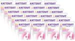 KATTOVIT Kattovit Cukorbetegség/evő csirke 24x85g tasak
