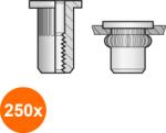 Bralo Set 250 x Piulite-nit Etanse Cap Lat Otel-M 6 x 21.5 (COR-250xBR.301406009S)
