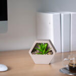 Vog und Arths Műnövény dekoráció - fali - 13 x 12 cm - 4 féle Vog und Arths 11837 (11837)