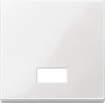 Schneider Electric Merten System M - MTN432819 -Billentyű, szimbólumokhoz, System-M, polárfehér (MTN432819)
