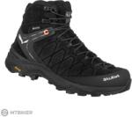 Salewa Alp Trainer 2 női cipő, fekete/fekete (36 (UK 3.5))