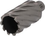 Norton Fúrókorona (Magfúró) Weldon HSS (Ø 38x50 mm) (CT545819)