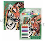  Számozott színező készlet, mini - Tigris