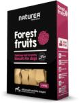 Naturea Biscuit Erdeigyümölcsös Keksz Kutyáknak - bundasbazar